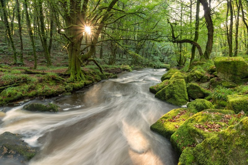 Places to see in Cornwall - Golitha Falls