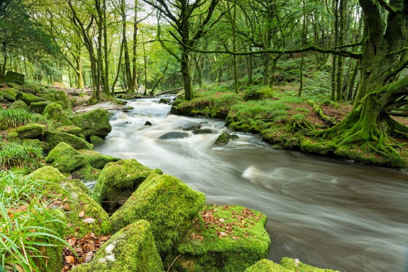 Places to see in Cornwall - Golitha Falls