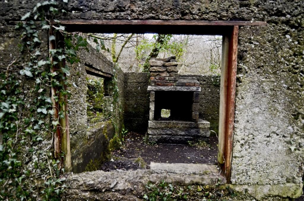 Kennall Vale, great for woodland walks in Cornwall