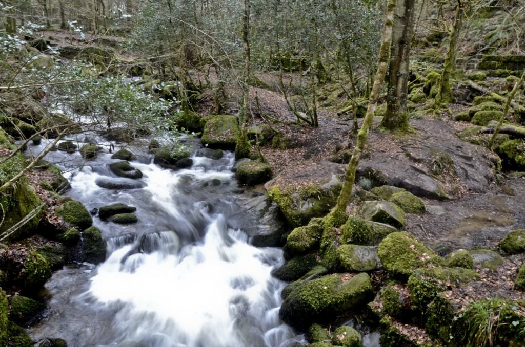 Running river at Kennall Vale a great place to visit in Cornwall