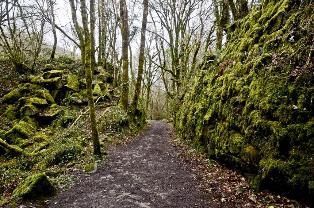 Kennall Vale, woodland near Redruth in Cornwall