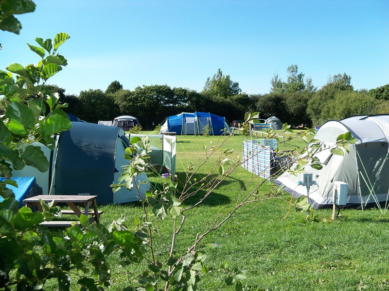 Campsites in Cornwall - Widemouth Fields