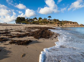 Beaches in Cornwall - Swanpool