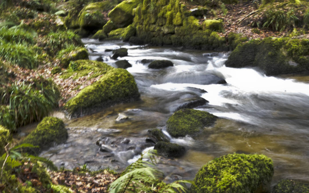 5 things to do in the rain in Cornwall