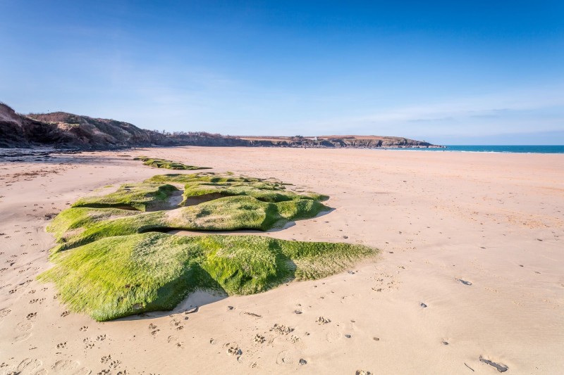 Beaches in Cornwall - Harlyn Bay