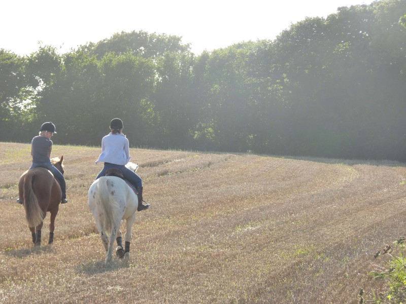 Things to do in Cornwall - Horse back riding