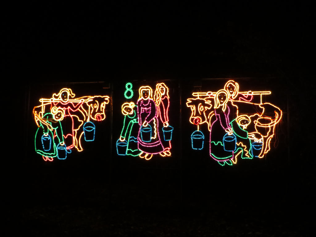 Our favourite Cornish Christmas lights displays